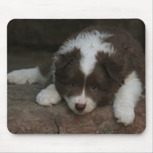 IsländischSheepdog_20171201_by_JAMFoto Mousepad