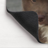 IsländischSheepdog_20171202_by_JAMFoto Mousepad (Ecke)