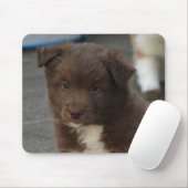 IsländischSheepdog_20171202_by_JAMFoto Mousepad (Mit Mouse)