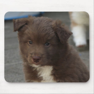 IsländischSheepdog_20171202_by_JAMFoto Mousepad