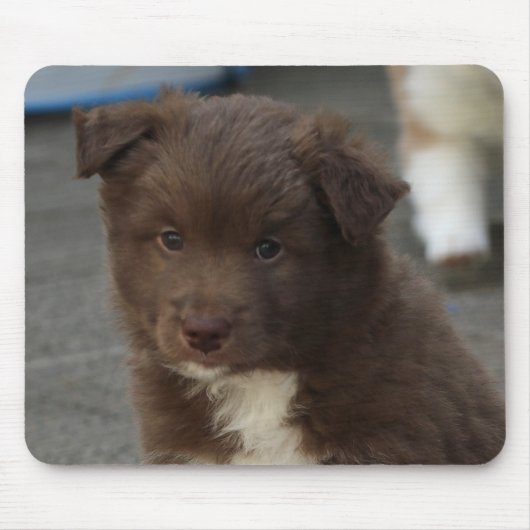 IsländischSheepdog_20171202_by_JAMFoto Mousepad (Vorne)