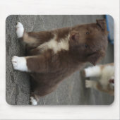 IsländischSheepdog_20171202_by_JAMFoto Mousepad (Vorne)