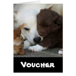 IsländischSheepdog_20171203_by_JAMFoto