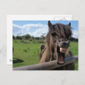 Islandpferd, Isländer Postkarte (Vorne/Hinten)