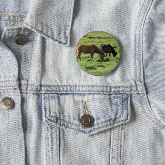 Islandpferde Button (Beispiel)