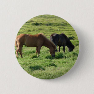 Islandpferde Button