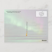 Islands Nordlichter Postkarte (Rückseite)