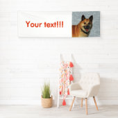 IslandSheepdog20150904 Banner (Insitu)