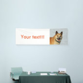 IslandSheepdog20150904 Banner (Messeveranstaltung)
