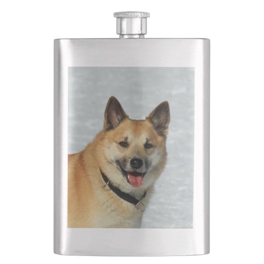 IslandSheepdog20150904 Flachmann (Vorderseite)