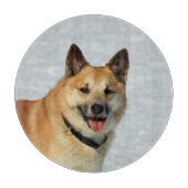 IslandSheepdog20150904 Schneidebrett (Vorderseite)