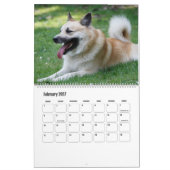 IslandSheepdog20151001 Kalender (Feb 2027)