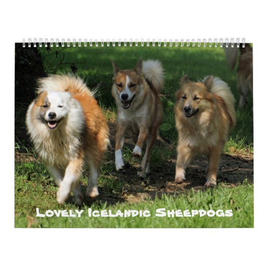 IslandSheepdog20151001 Kalender (Titelbild)