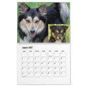 IslandSheepdog20151001 Kalender (Jan 2027)