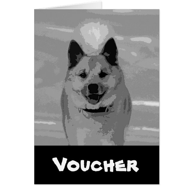 IslandSheepdog20151203 (Vorne)