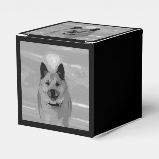 IslandSheepdog20151203 Geschenkschachtel (Vorderseite)