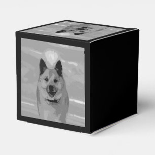 IslandSheepdog20151203 Geschenkschachtel