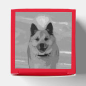 IslandSheepdog20151203 Geschenkschachtel (Oben)