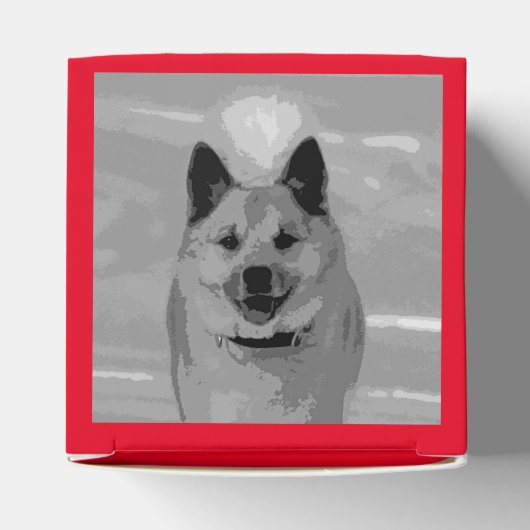 IslandSheepdog20151203 Geschenkschachtel (Oben)