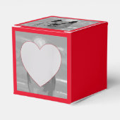 IslandSheepdog20151203 Geschenkschachtel (Vorderseite)