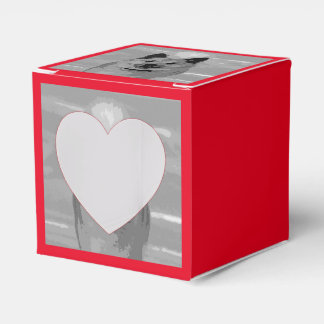 IslandSheepdog20151203 Geschenkschachtel