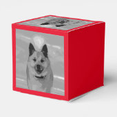 IslandSheepdog20151203 Geschenkschachtel (Rückseite)