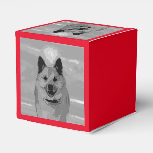 IslandSheepdog20151203 Geschenkschachtel (Rückseite)