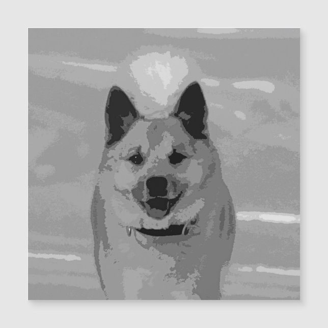 IslandSheepdog20151203 Magnetkarte (Vorderseite)