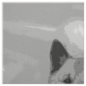 IslandSheepdog20151203 Stoff (Muster)