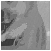 IslandSheepdog20151203 Stoff (Nahaufnahme)