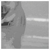 IslandSheepdog20151203 Stoff (Muster)