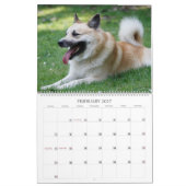 IslandSheepdog 001 Kalender (Feb 2027)