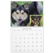 IslandSheepdog 001 Kalender (Jan 2026)