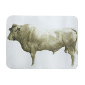 Islay Bull 2004 Magnet (Horizontal)