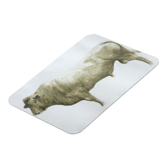 Islay Bull 2004 Magnet (Linke Seite)