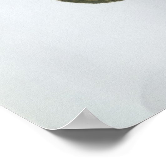 Islay Bull 2004 Poster (Ecke)