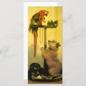 Islay, Tilco, a Macaw and Love Birds by Landseer (Vorne/Hinten)