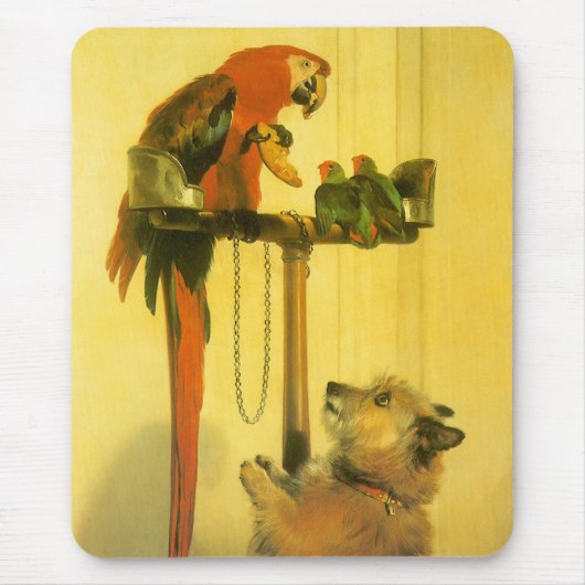 Islay, Tilco, a Macaw and Love Birds by Landseer Mousepad (Vorne)