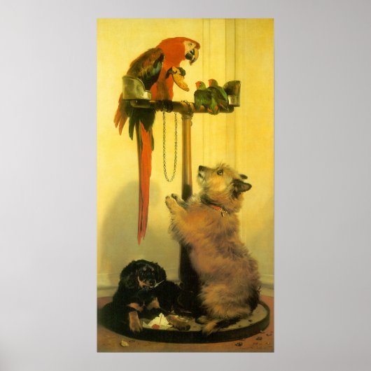 Islay, Tilco, a Macaw and Love Birds by Landseer Poster (Vorne)