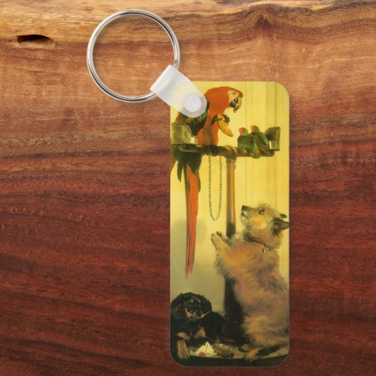 Islay, Tilco, a Macaw and Love Birds by Landseer Schlüsselanhänger (Vorderseite)