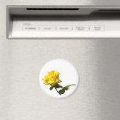Isola Yellow rose Magnet (In Situ (Geschirrspüler))