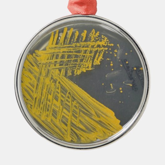 Isolierungs-Streifen der Bakterien Silbernes Ornament (Vorne)