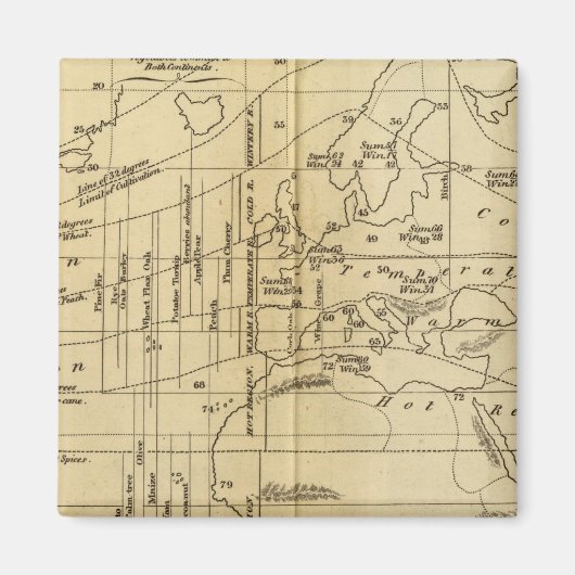 Isothermaldiagramm Magnet (Vorne)