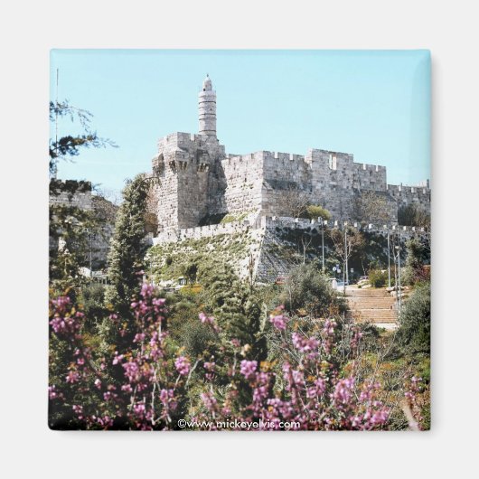 Israel 22 magnet (Vorne)