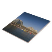 Israel, Negev, Eilat, Rotes Meer Fliese (Seite)