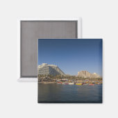 Israel, Negev, Eilat, Rotes Meer Magnet (Vorderseite/Rückseite)