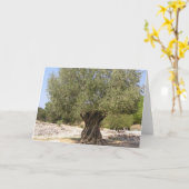 Israel Olive Tree Karte (Gelbe Blume)