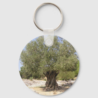 Israel Olive Tree Schlüsselanhänger