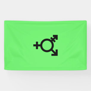 Israeli Transgender Pride Flag  Banner