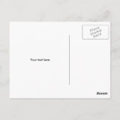 Israelische Flagge mit Sonderpostkarten für Israel Postkarte (Rückseite)